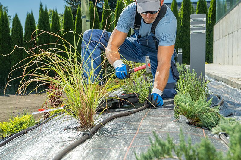 Tröpfchenbewässerung für die Bewässerung von Beetpflanzen - Bewässerungs Profis Rhein-Main