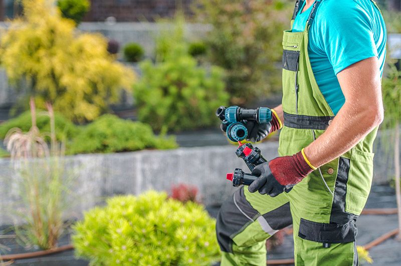 Professionelle Installation Ihrer Heckenbewässerung - Bewässerungs Profis Rhein-Main